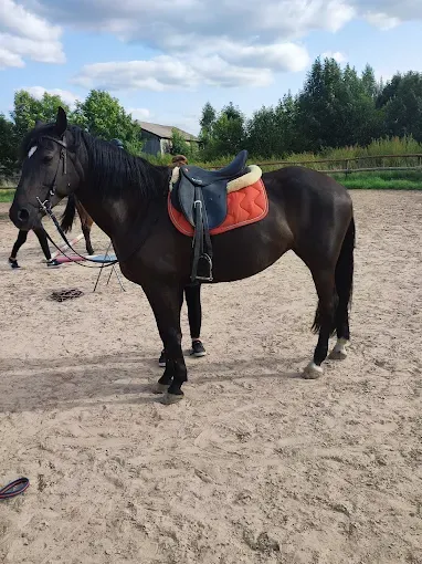 Ranczo Pod Dębem. Nauka jazdy konnej